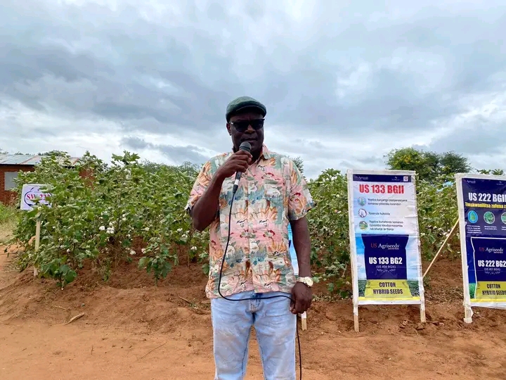 New cotton variety