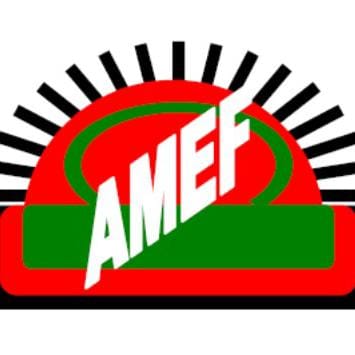 AMEF Condemns rogue teacher’s decision to abandon Malawi