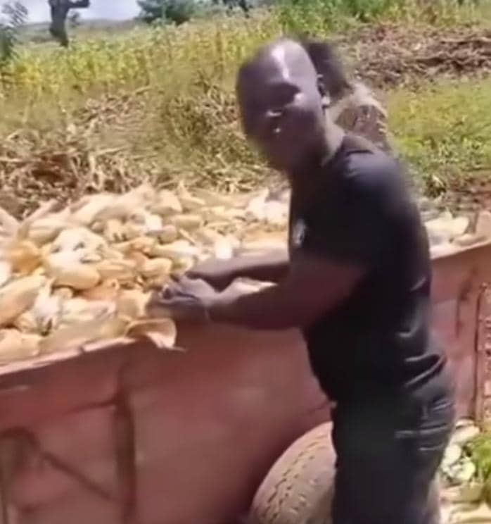 Man boasts of attacking DPP supporters in viral video, sparks outrage over political intolerance