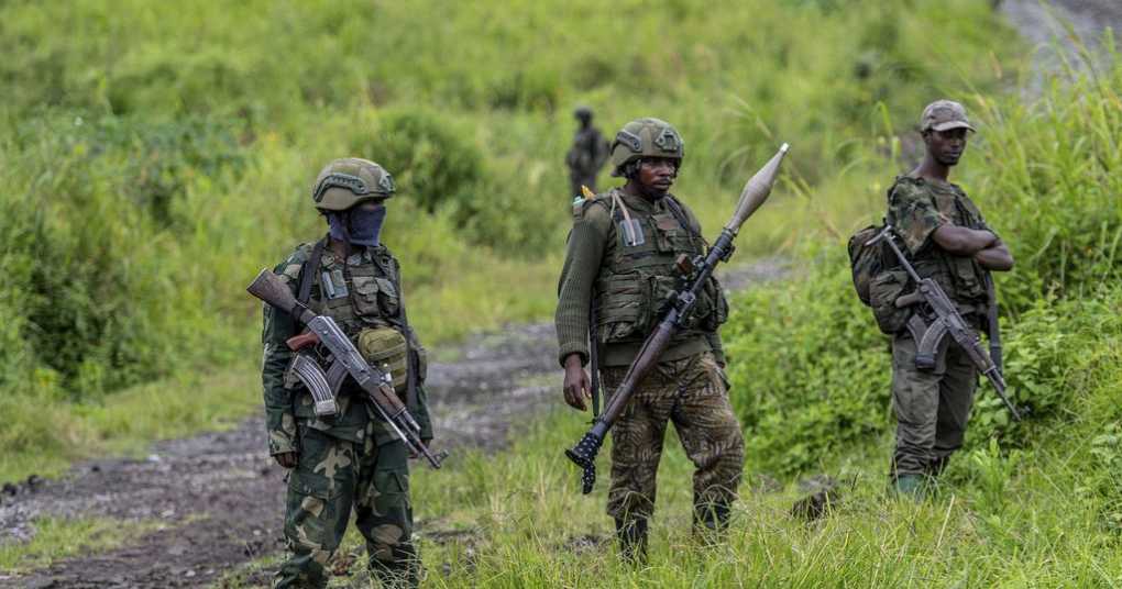 Congo Basin Countries Forge Strategic Path to Carbon Markets with Roadmaps to Monetize Forest Wealth