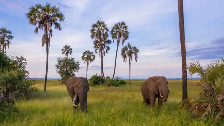 Liwonde environmental education centre reopened to promote conservation awareness