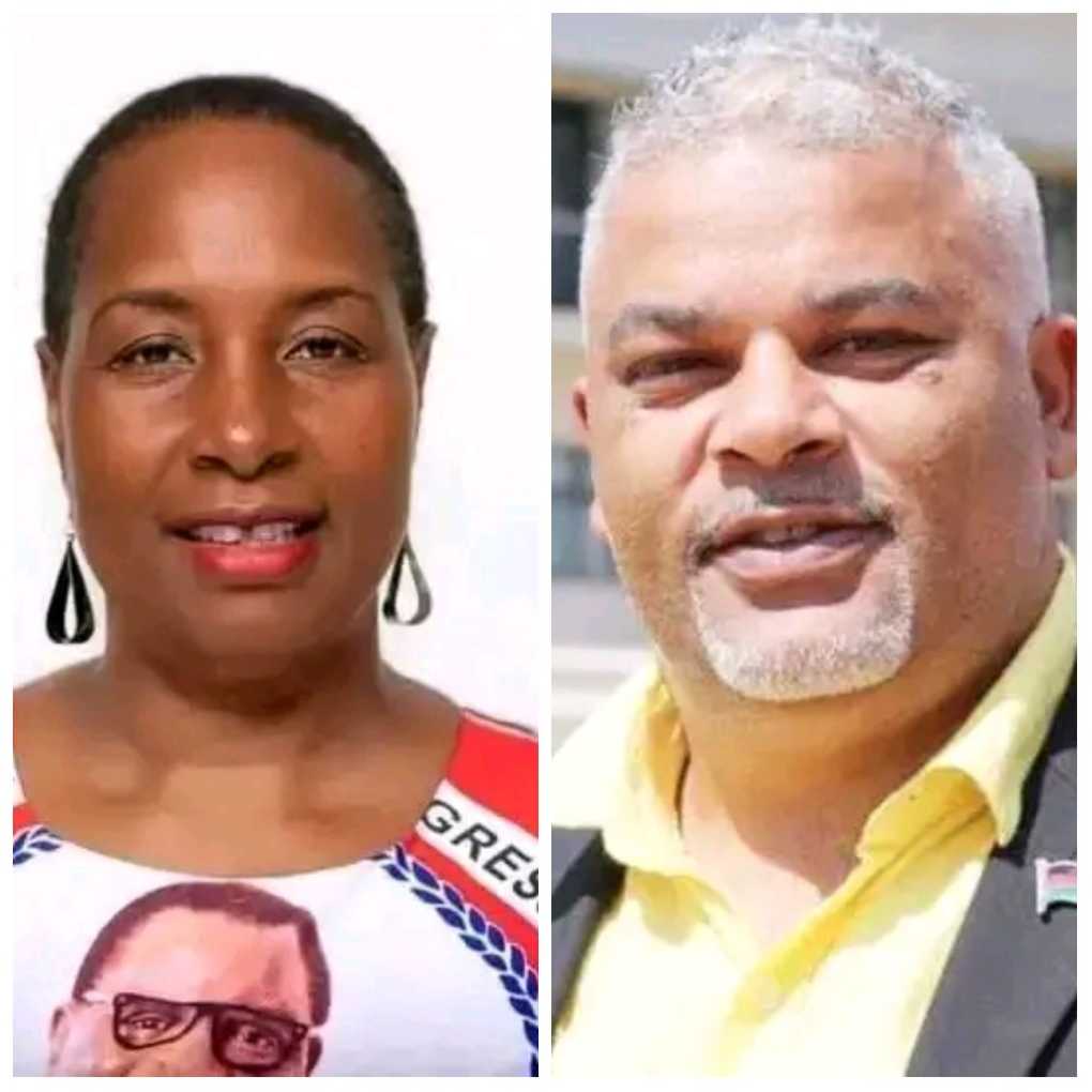 Minister Jessie Kabwila seeks MK500 million compensation from Sameer Suleman