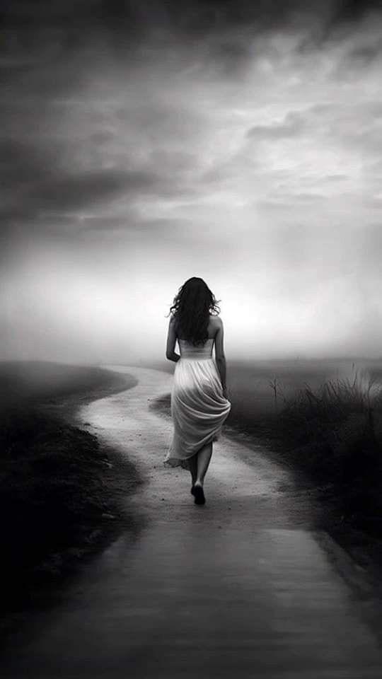 “The Last Journey Home”: A must read thrilling encounter