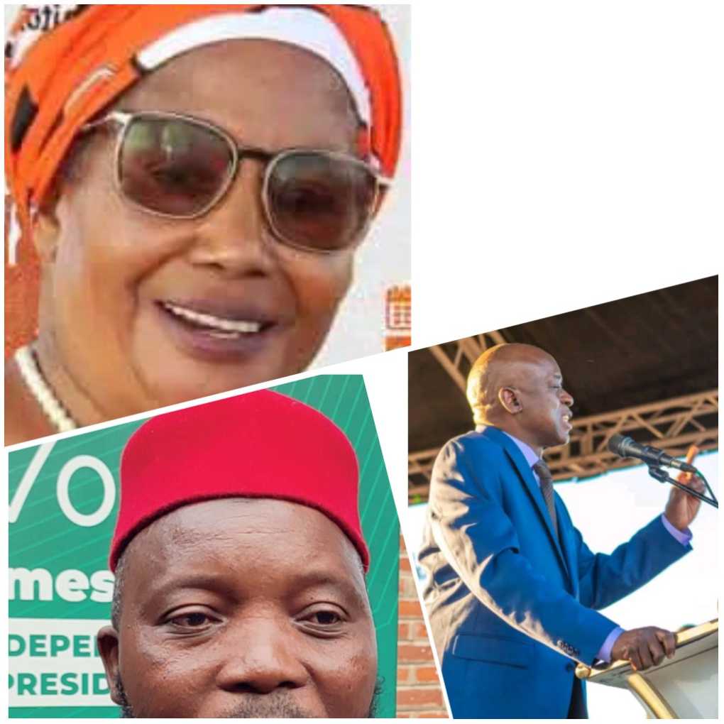 Nomination Day Spotlight: Joyce Banda, Adil Chilungo, Daniel Dube present presidential papers