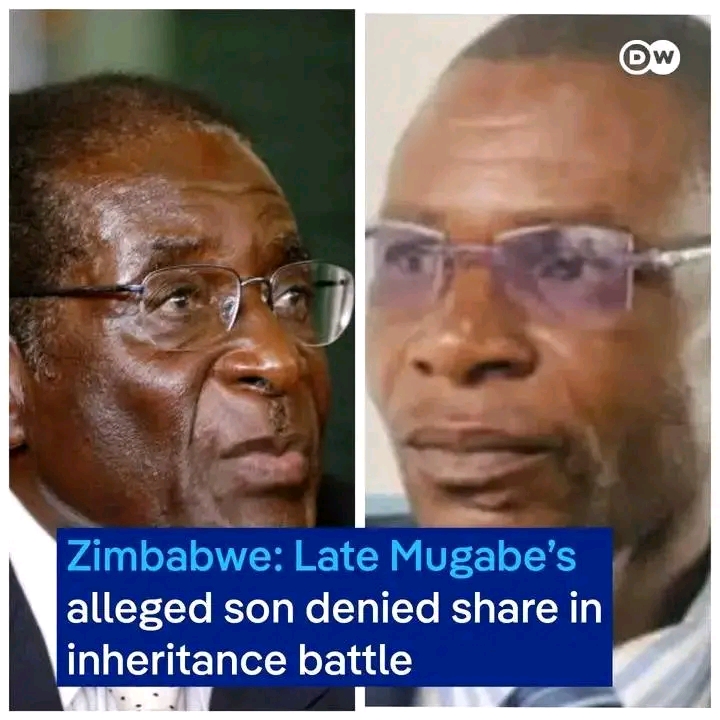 Zimbabwe High Court dismisses paternity claim against late President Mugabe’s Estate