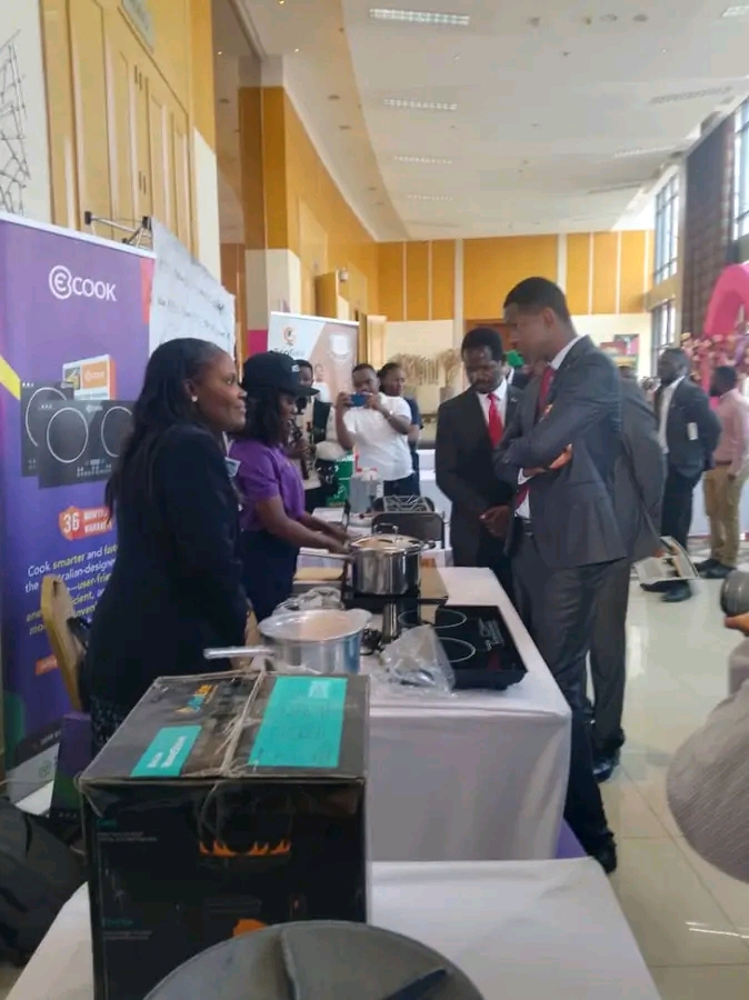 Malawi cracks down on unregistered carbon credit traders