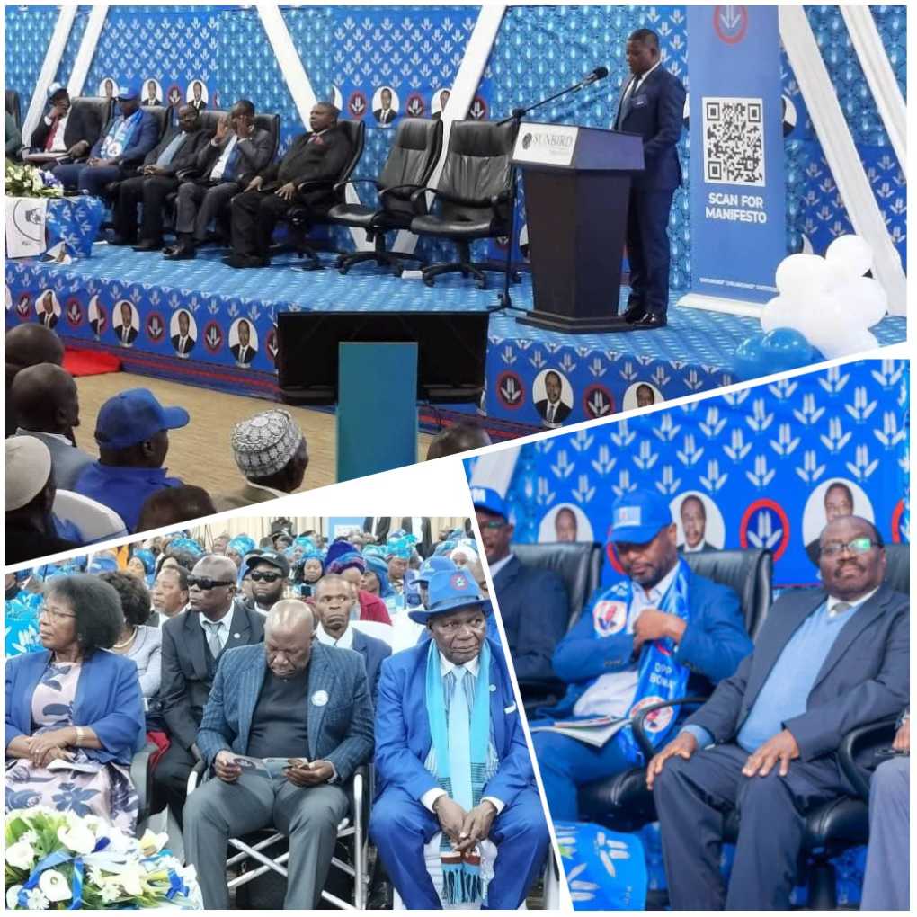 DPP manifesto or a catalogue of fantasy? public reacts with disbelief
