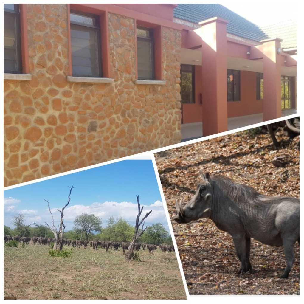 Nyala Lodge: An eco freindly home