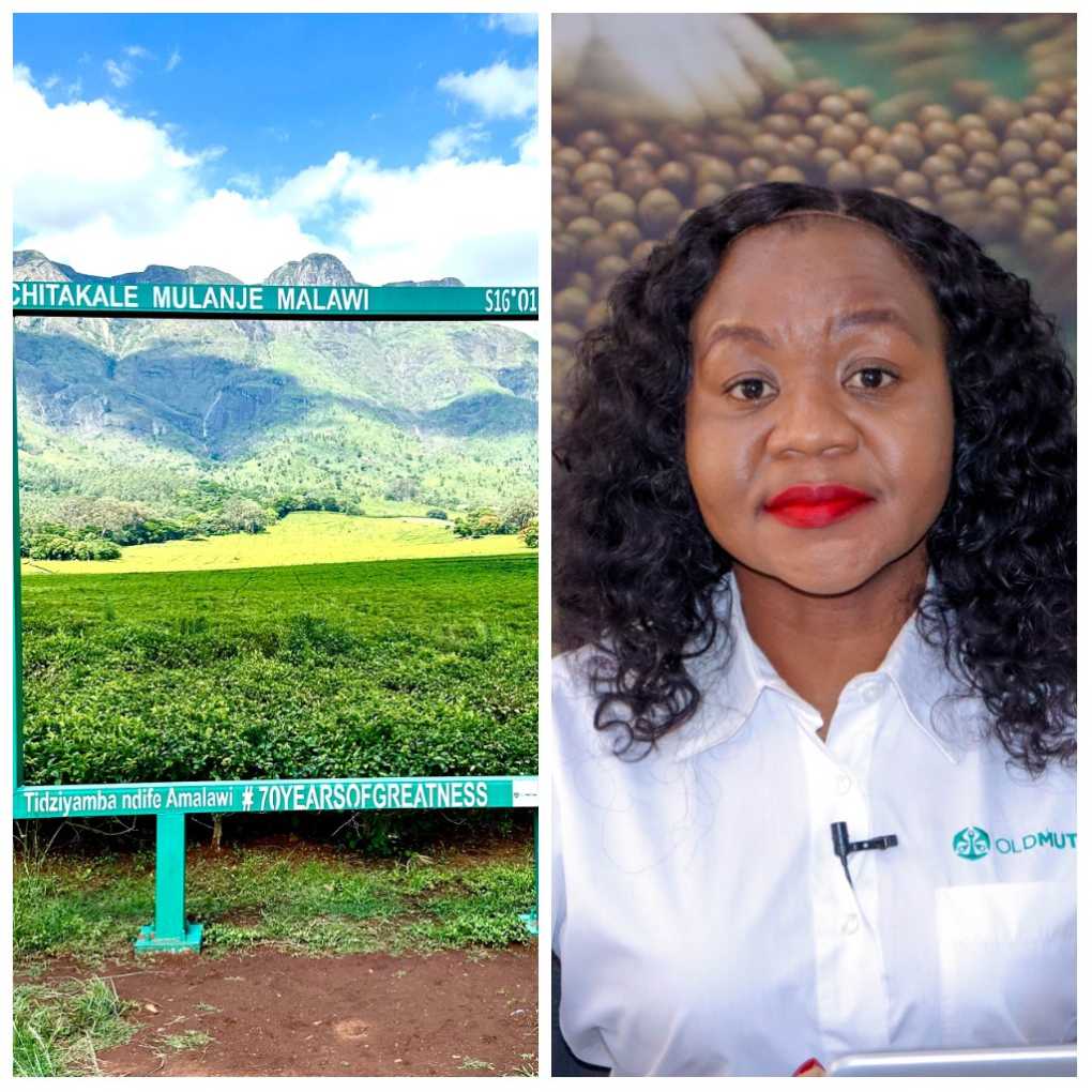 Old Mutual Malawi emerges AMC award’ runner-up in tourism, destination marketing campaign category