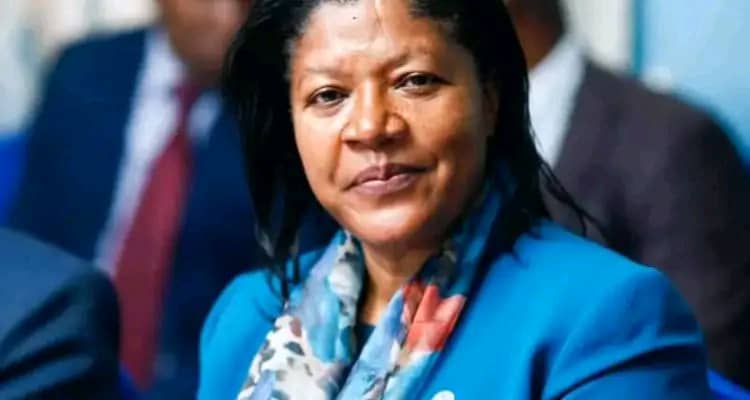 High Court dismisses state request to cross-examine former MEC Commissioner Namathanga in pre-election legal challenge