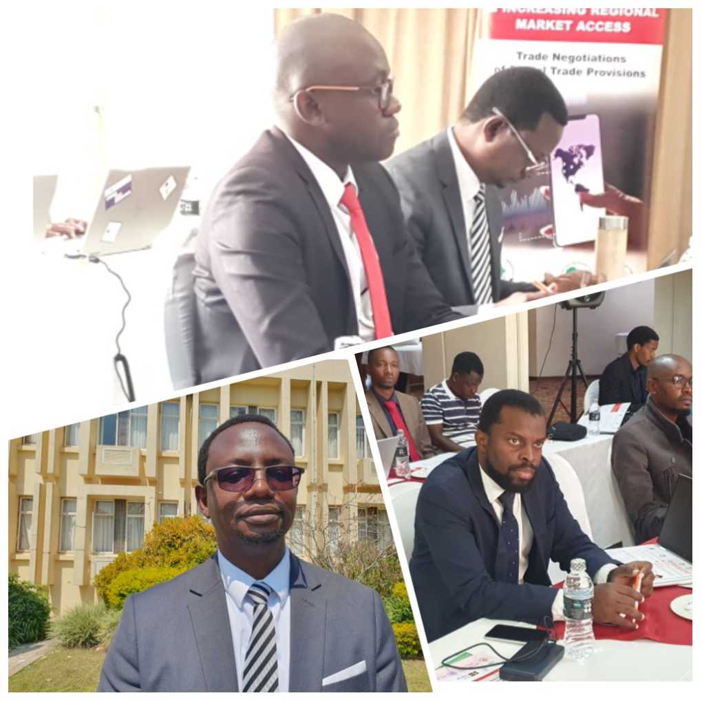 Malawi eyes $87.23 billion African E-commerce digital market