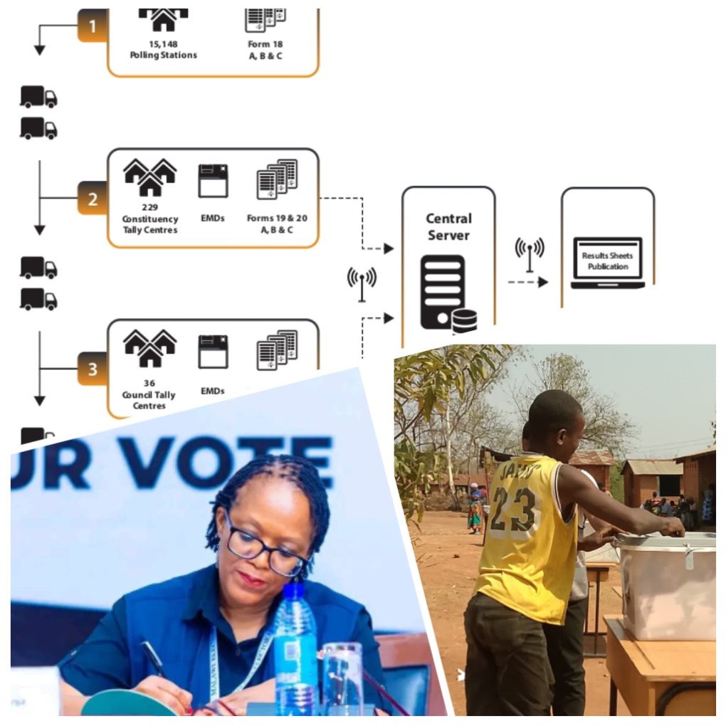 #MalawiDecides2025: Governance expert Undule urges voters to trust MEC