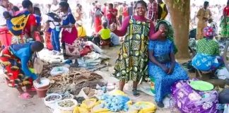 Mulhako wa Alhomwe: Preserving culture, promoting unity, and strengthening identity