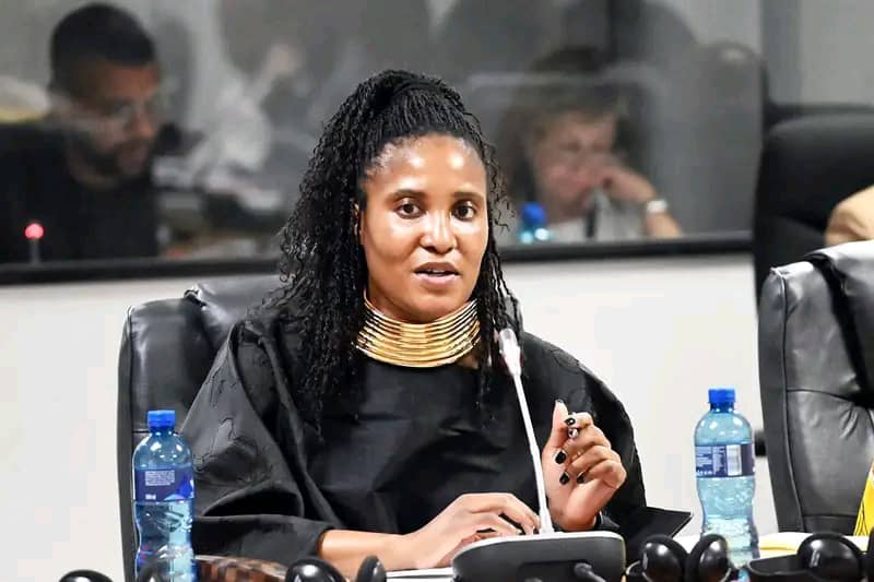South African authorities probe Duduzile Zuma-Sambudla over alleged recruitment of men to Ukraine War