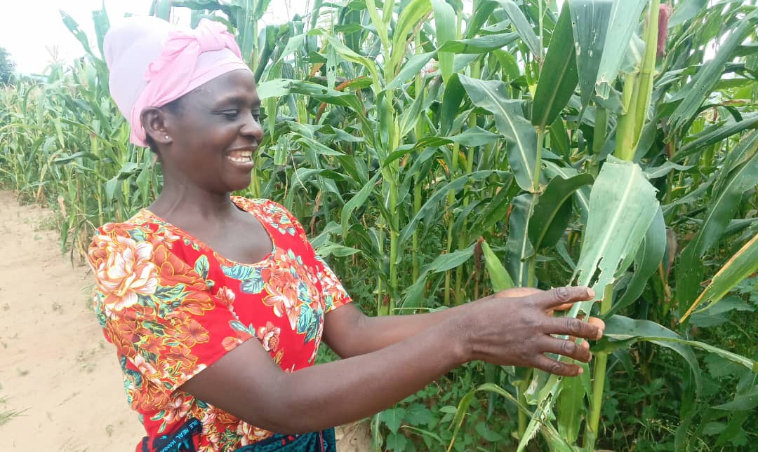 Crop insurance payouts are good if properly managed
