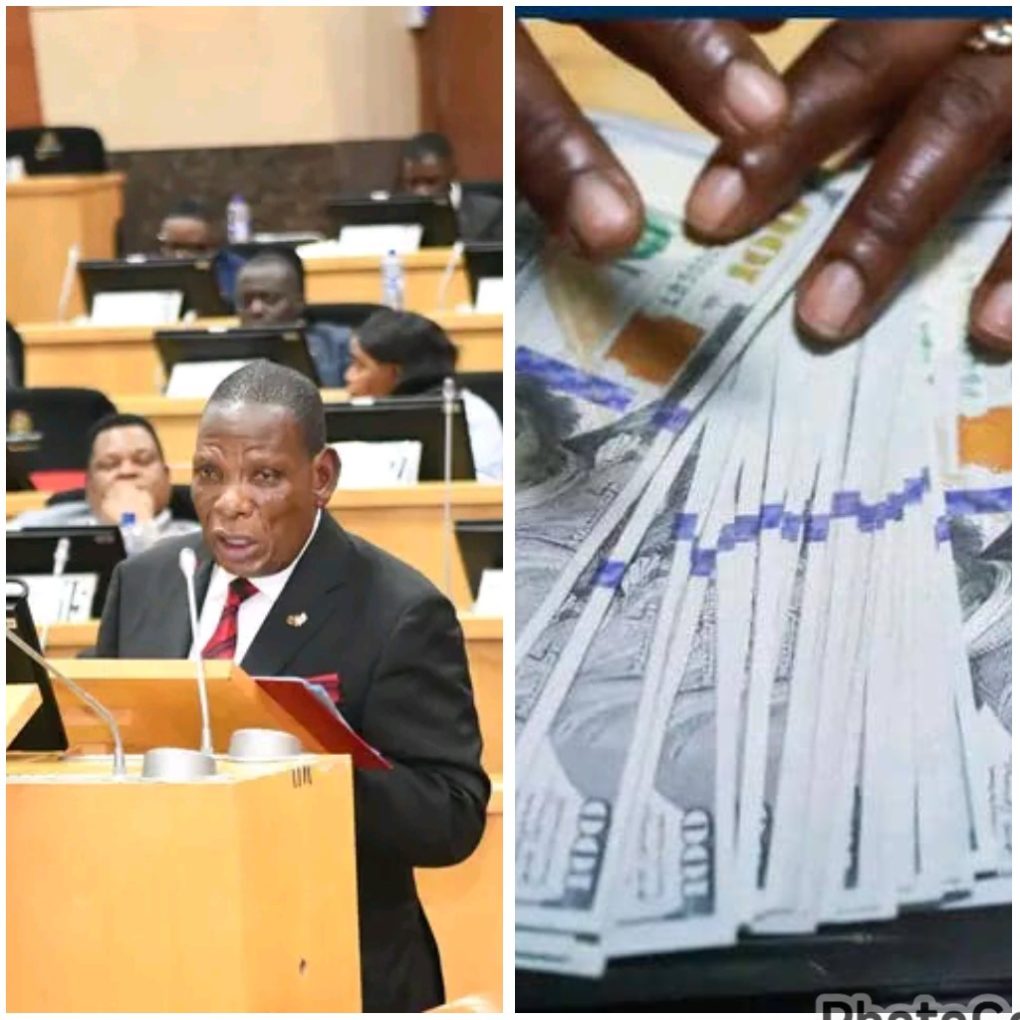 Revised Malawi’s 2025/26 Fiscal Plan: Tourists mandated to pay hotels in dollars, Euros as forex crisis deepens