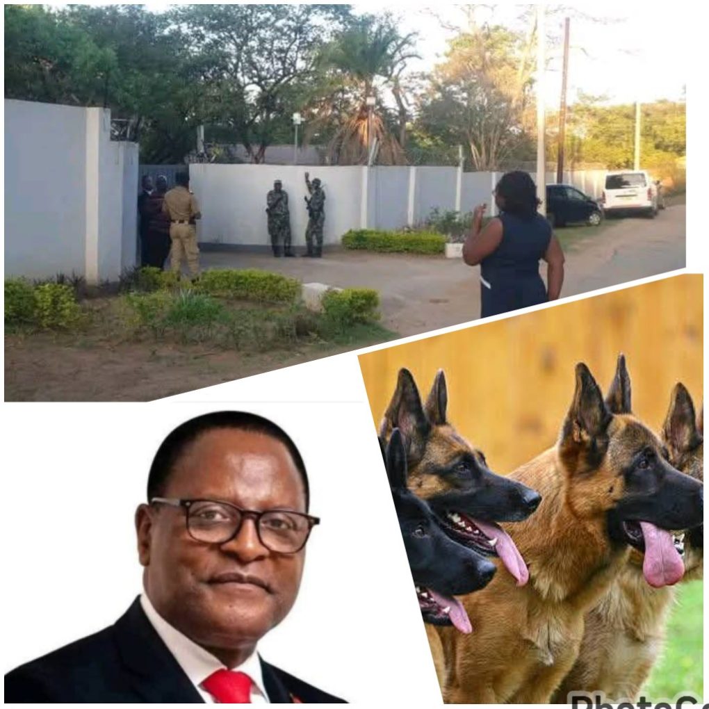 Sharp Focus: Crisis of confidence—Fuel shortages, State‑House dog thefts threaten Malawi’s stability