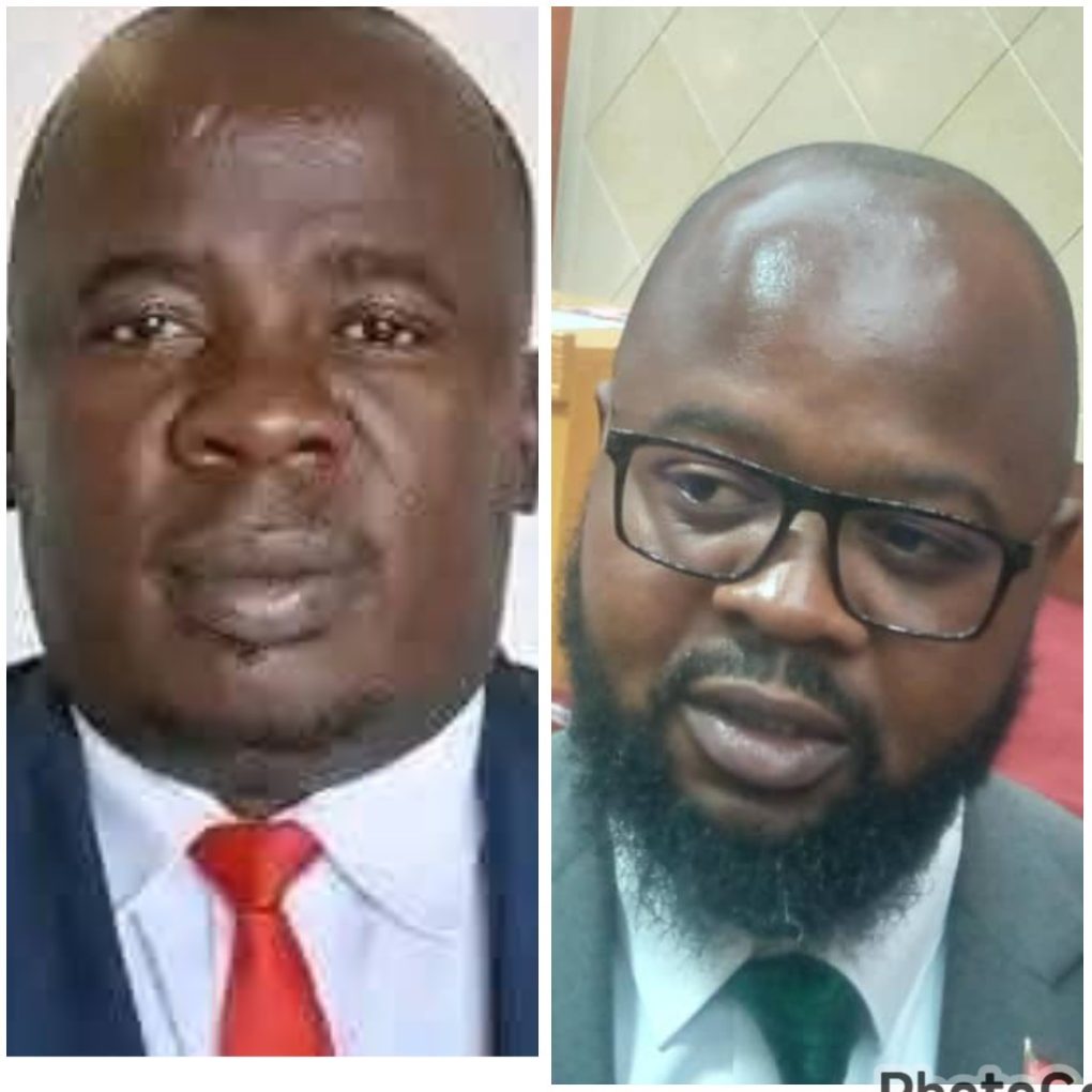 Chimwendo Banda backs motion on granting Parliament control over CDF