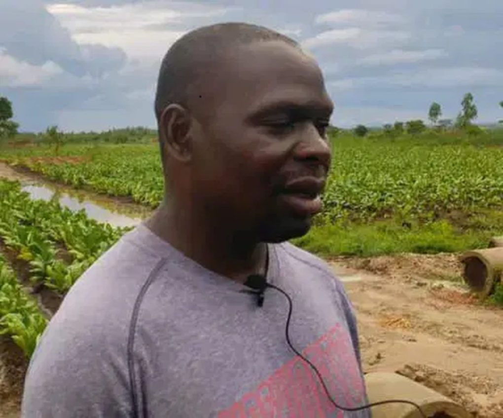 Of search warrants, accountability, courts injunction: Who is exactly the law protecting, serving in Malawi?