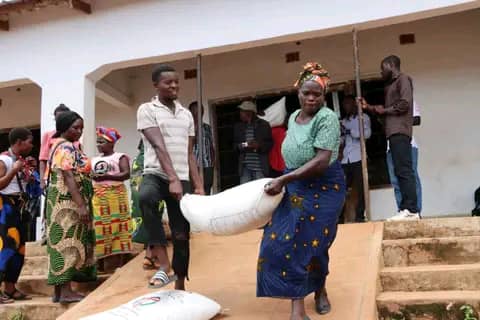 FISP brings hope to Mzuzu farming households