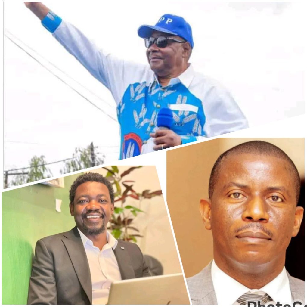 Malawi CSOs petition Mutharika not assent to Constitution Amendment, CDF Bills