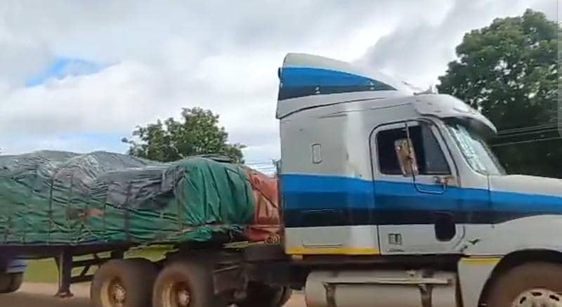 Maize imports from Zambia bring hope to hungry Malawians