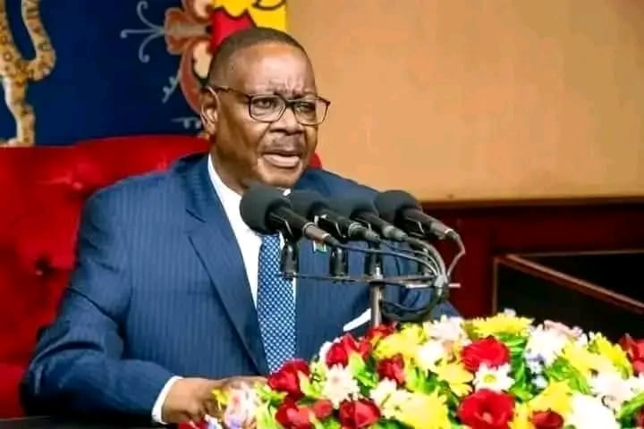 What do critics say against Mutharika’s administration within  first 100 days of taking office?