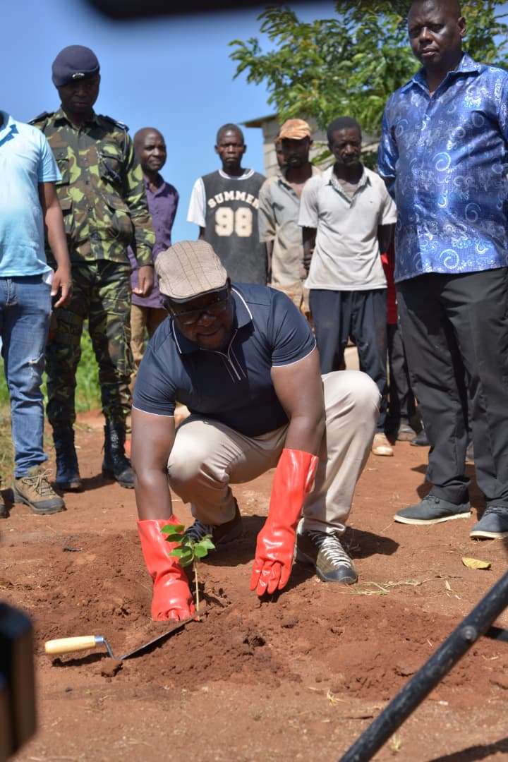 Southern region Press Club pushes tree planting as economic investment