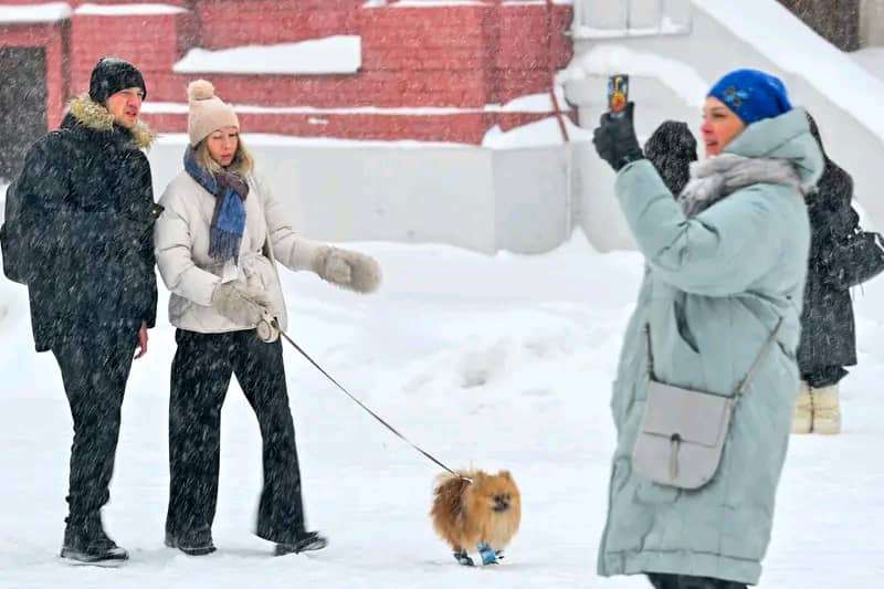 Moscow shivers under record-breaking blizzard: Snowfall paralyzes Russian Capital