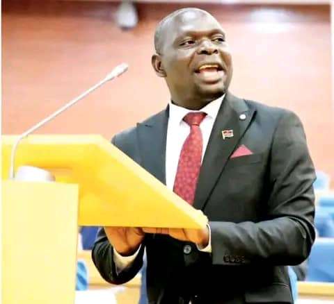Chithyola-Banda’s critique falls flat: A case of opposition for opposition’s sake?