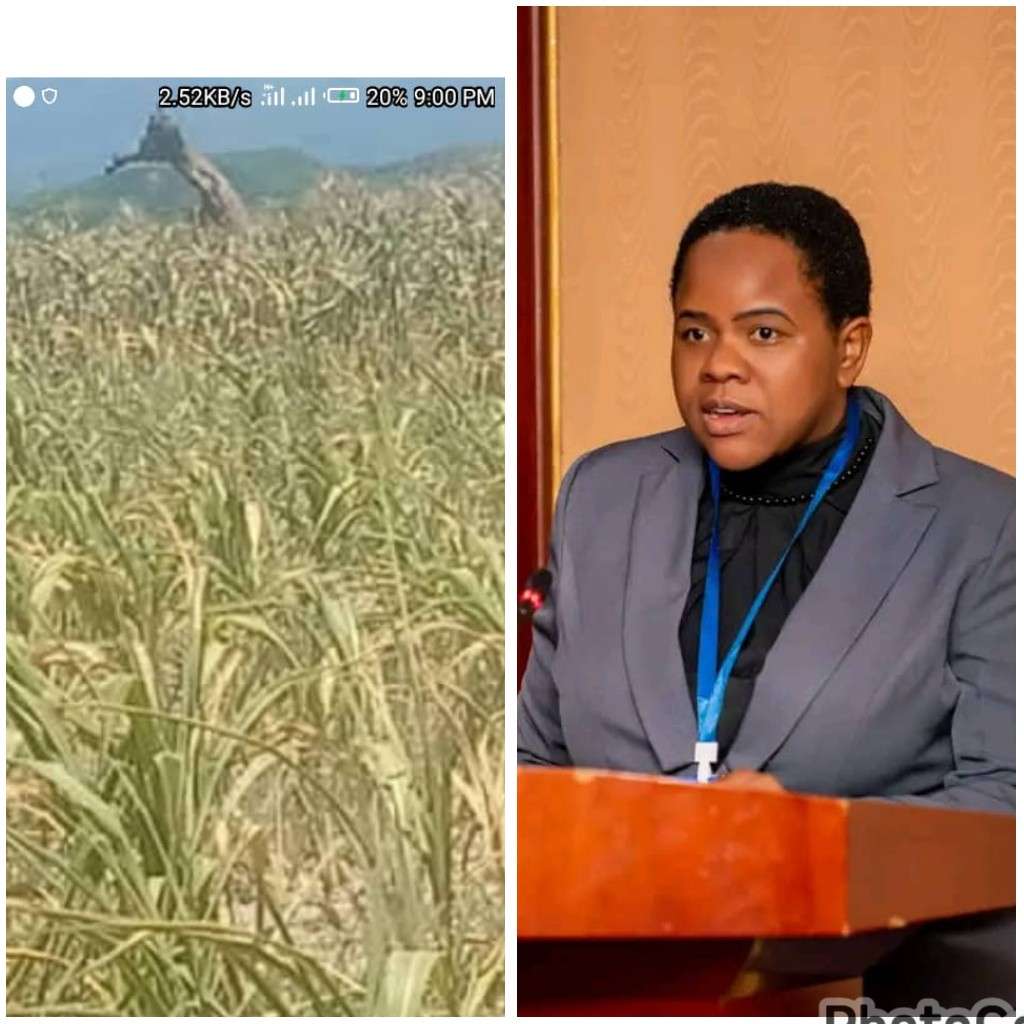 Mutharika calls for prayer amid prolonged dry spells