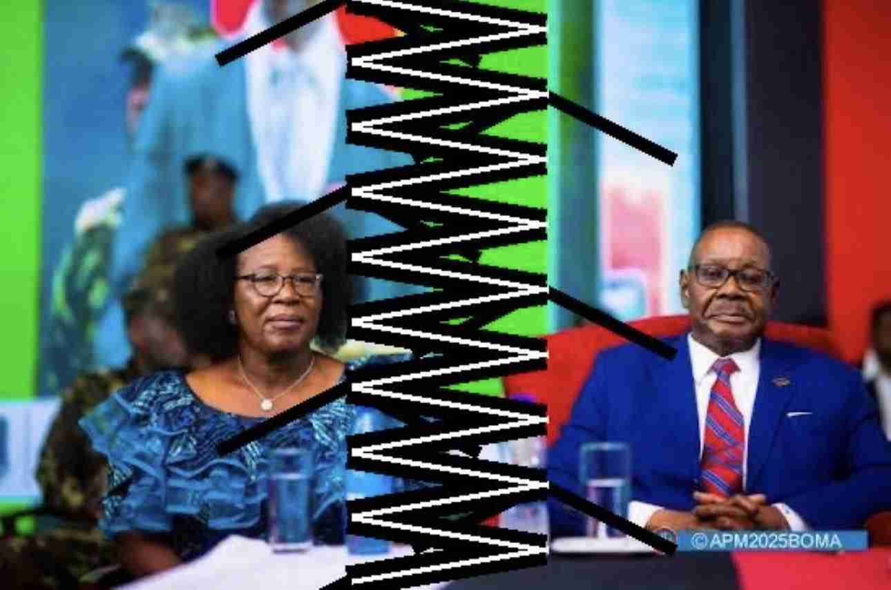 Lies from Zimbabwean Social Media Personality Hopewell Chin’ono’s Post on Facebook going viral