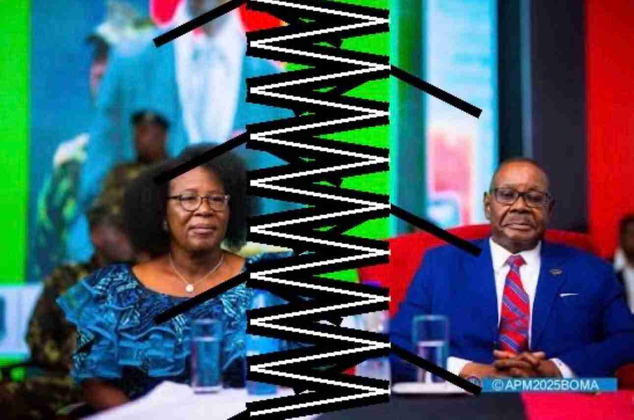 Exclusive: Power struggle lifts horns in Malawi’s governing DPP as Jane Ansah is not wanted for succession