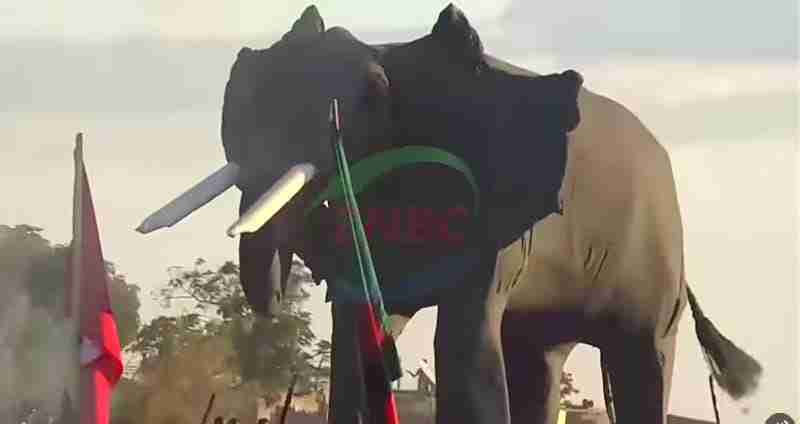 A Royal Move: Zambia’s Kuomboka Ceremony set to dazzle