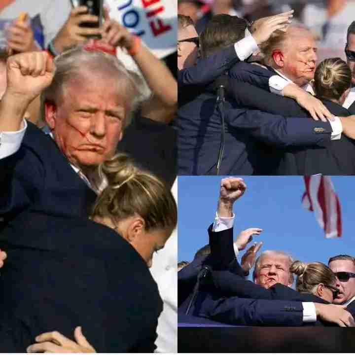 Assassination attempt on Donald Trump sparks debate on economic impact
