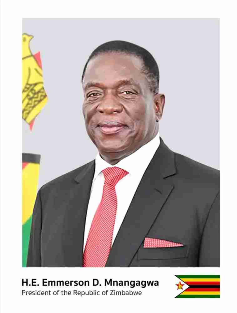 Zimbabwe’s Crocodile leader Mnangagwa eyes for life President