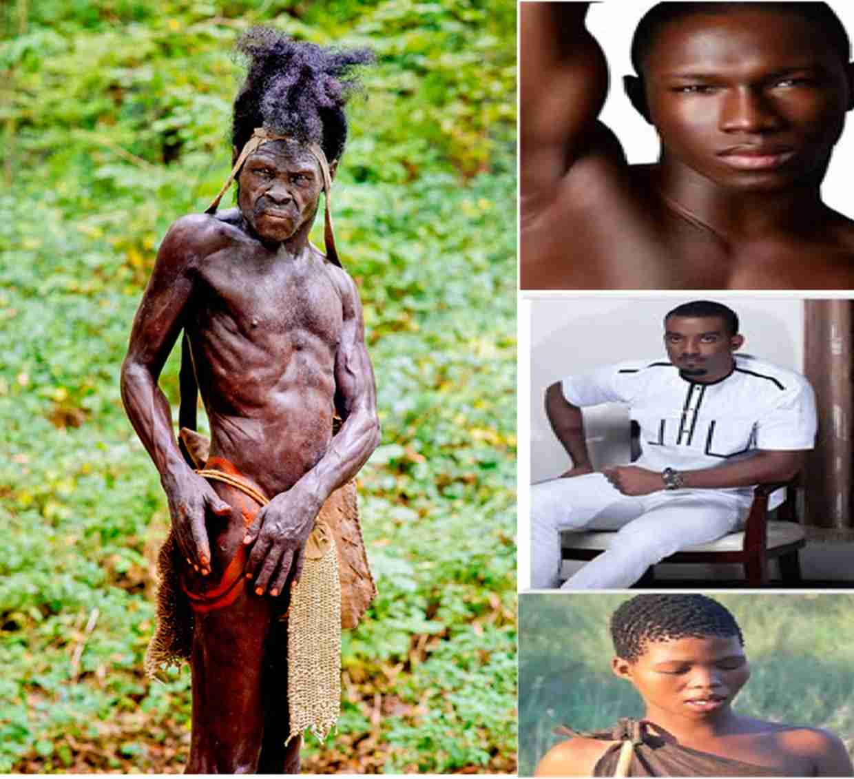 Skeptical Africa: Understanding the Past, Engaging the Present, and Exploring the Future