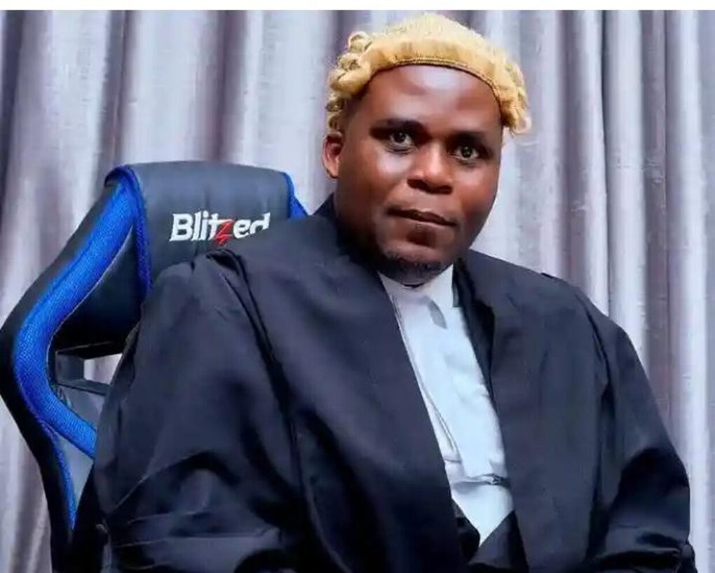 High court orders MCP to hold district committee elections within a year