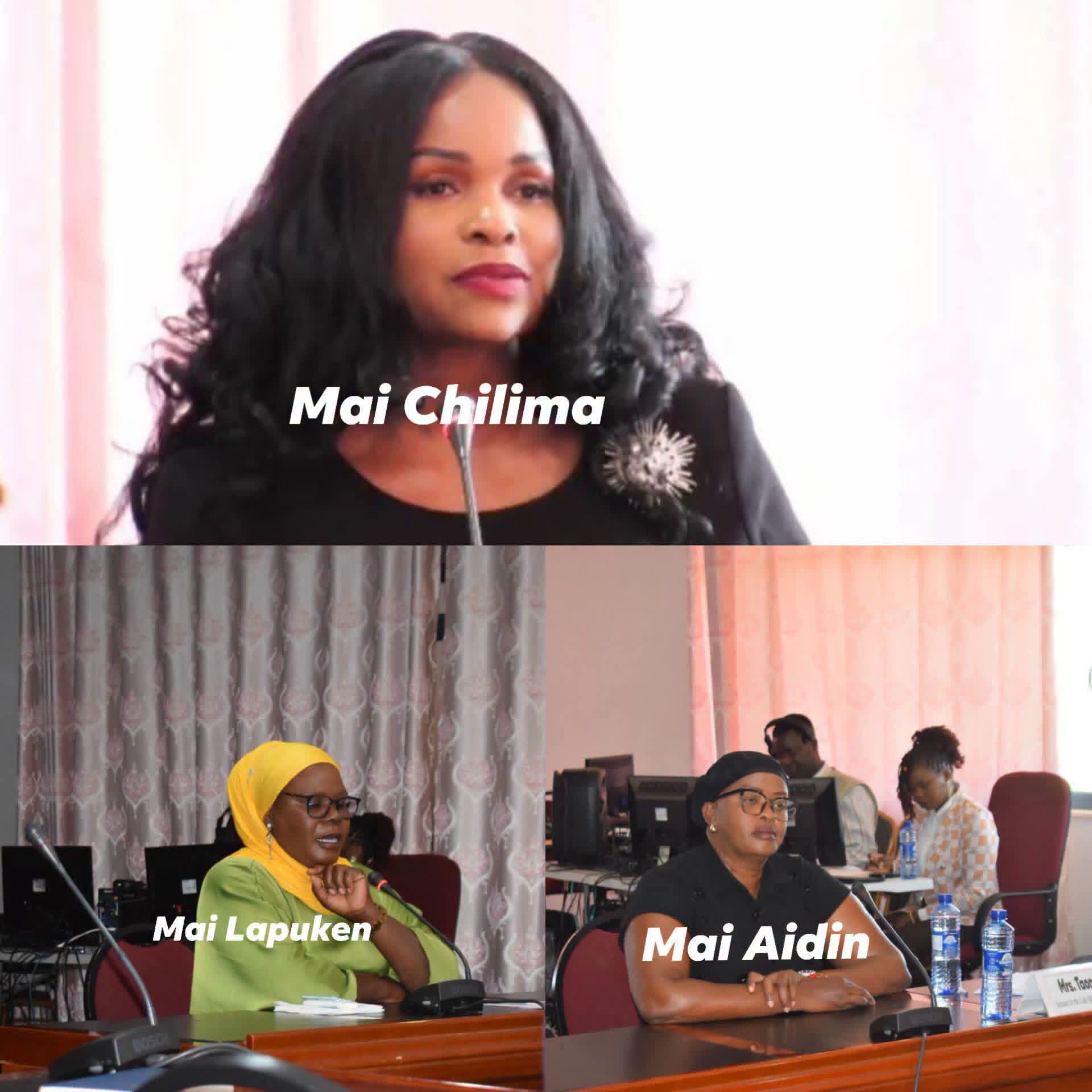 When delay becomes death: A well plotted systemic delays, sabotage in Chilima’s plane crash