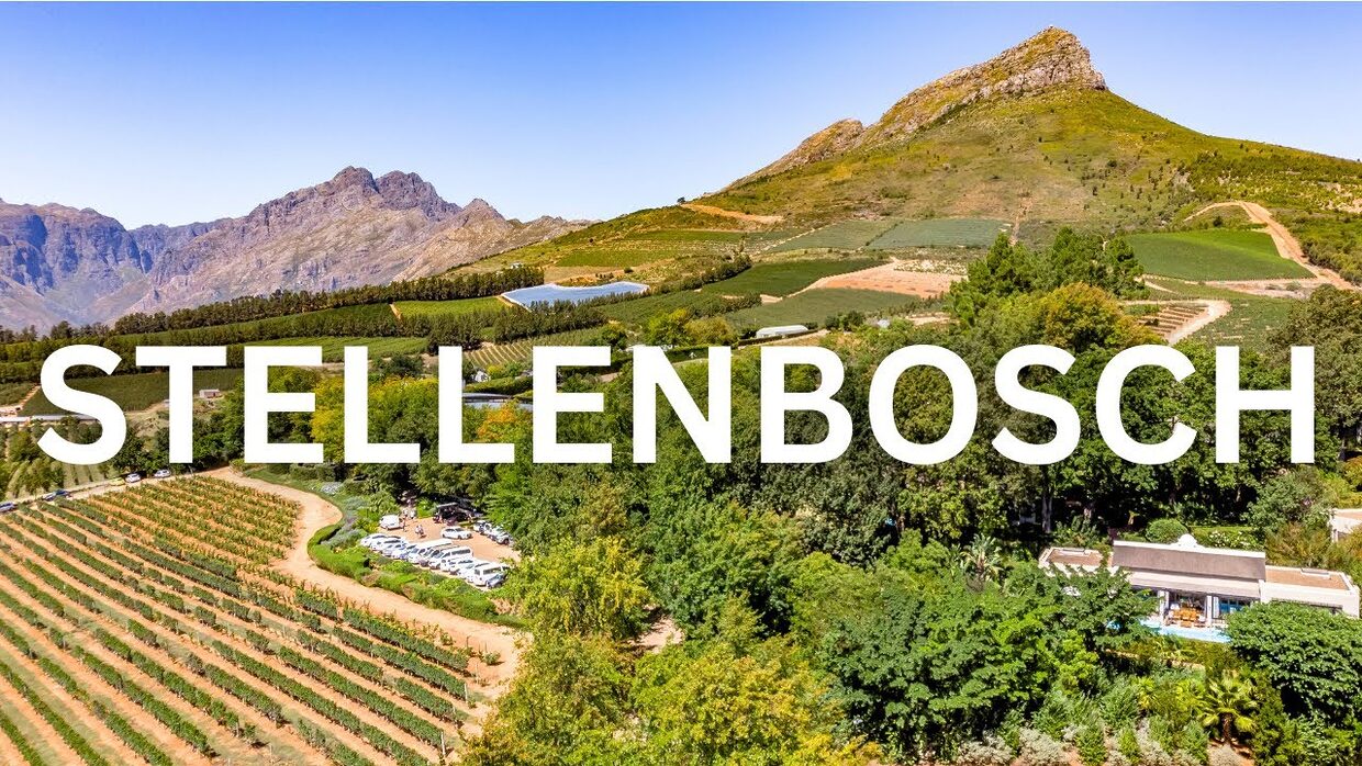 Your Neighbourhood Guide to Stellenbosch