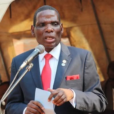 Is Joseph Mwanamvekha really a Finance Minister or tax collector?