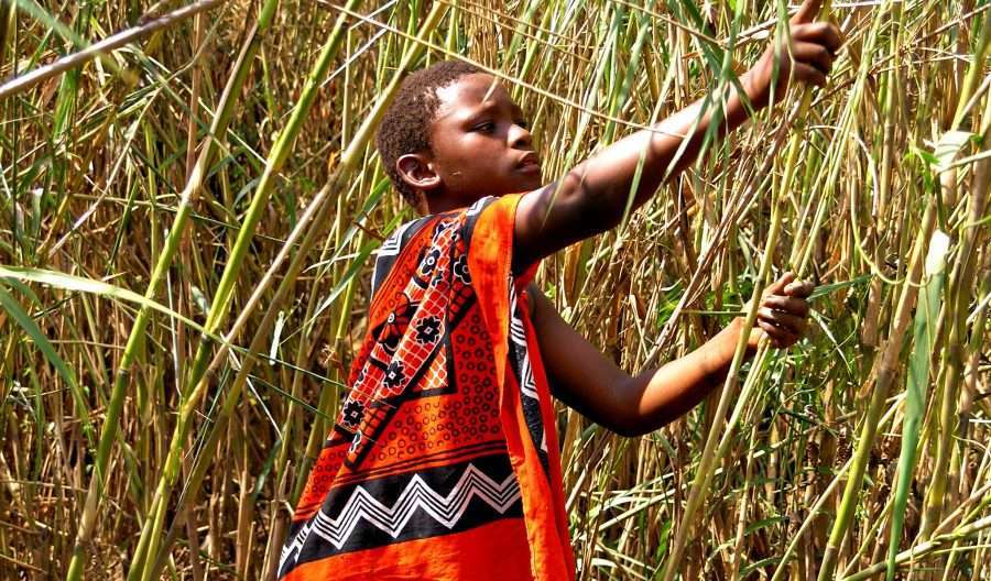 2026 Umhlanga Reed Dance dates officially announced!