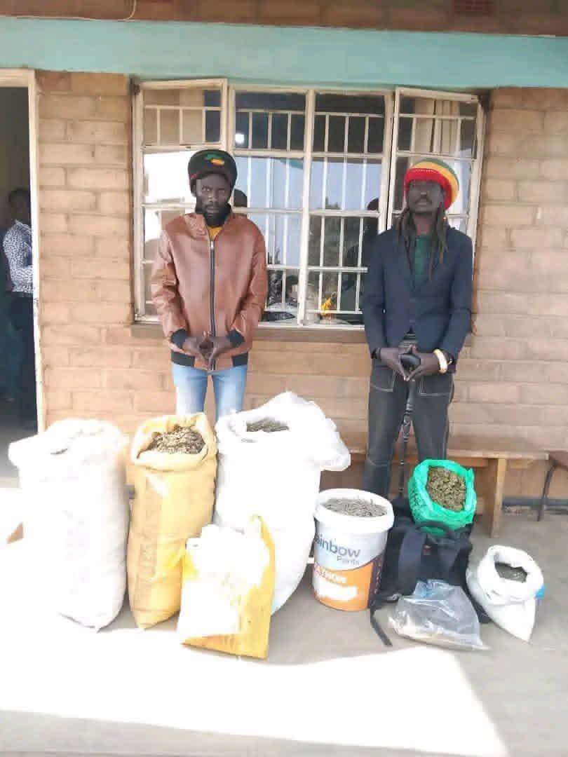 Cannabis board Member Chikomeni’s arrest exposes gaps in Malawi’s Sativa licensing system