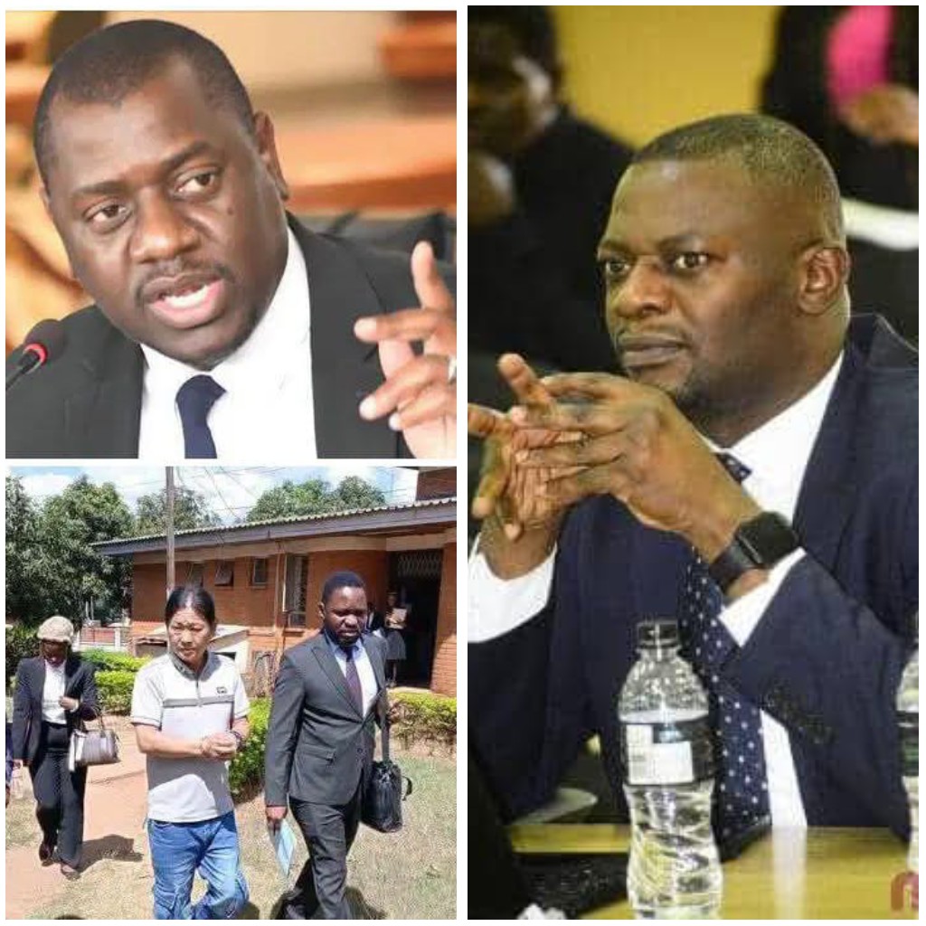 HRCC secretely pleads for wildlife trafficker-corruption suspect Lin’s release