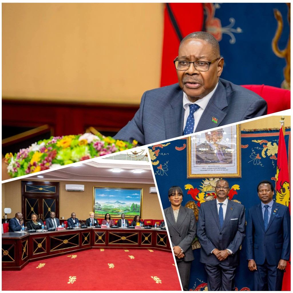 Mutharika committed to promote human rights