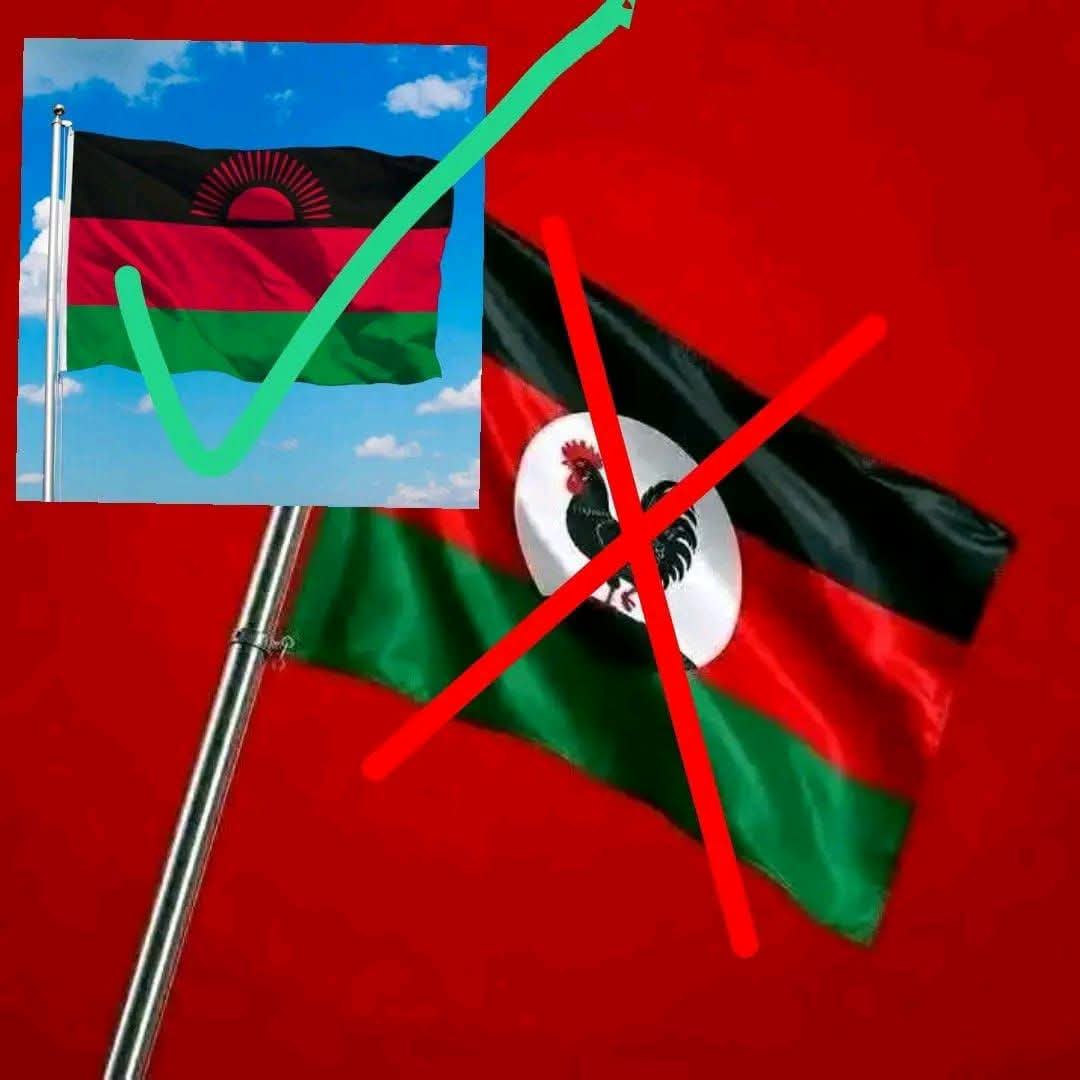 Court filed with petition to stop MCP using national colours, “Malawi” name