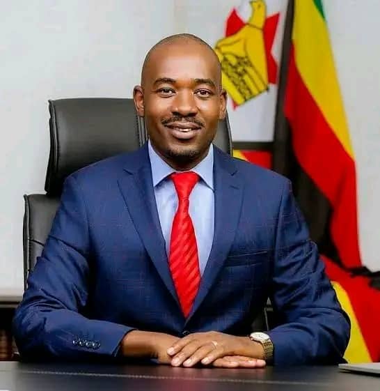 Zimbabwe’s opposition trapped in crisis of organisation”-says Former Minister Jonathan Moyo