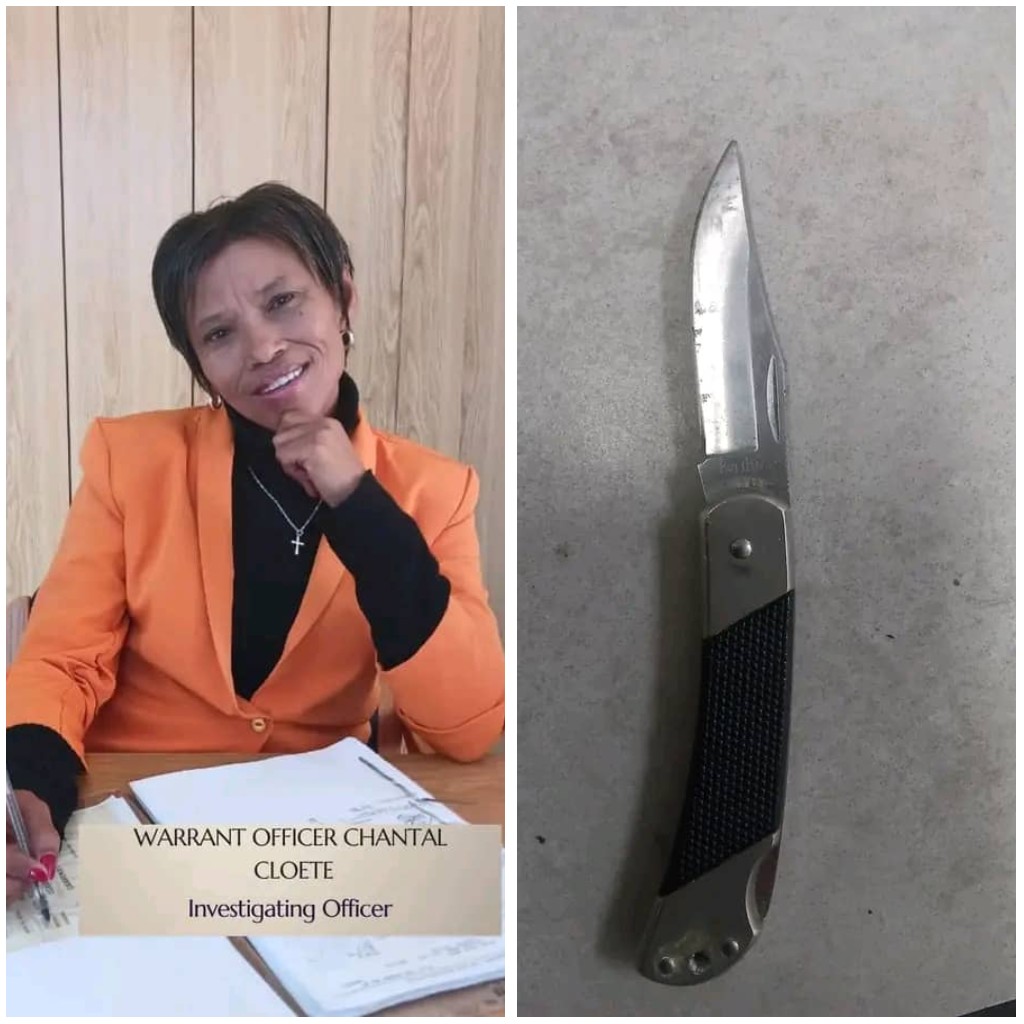 RSA lady van der Byl jailed 12 years for neighbour’s murder